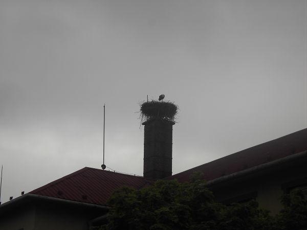 pastoralka_014