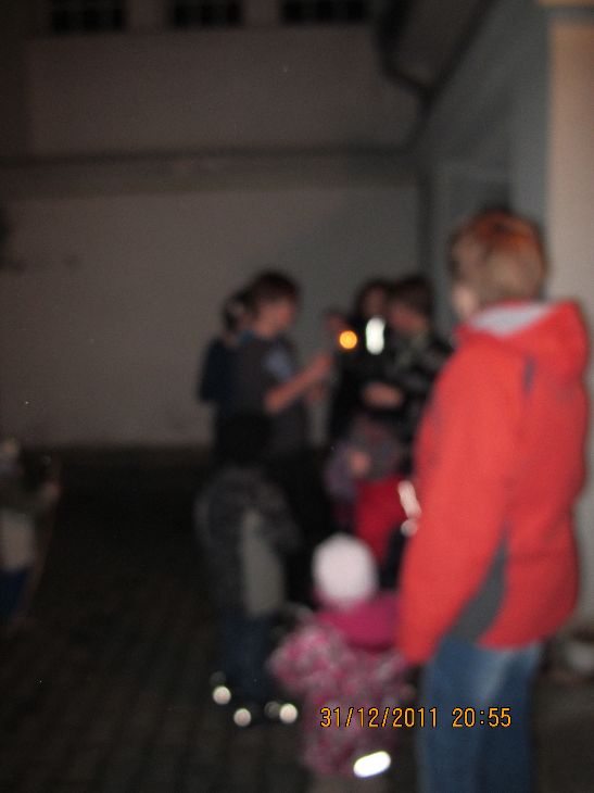 silvestr_039