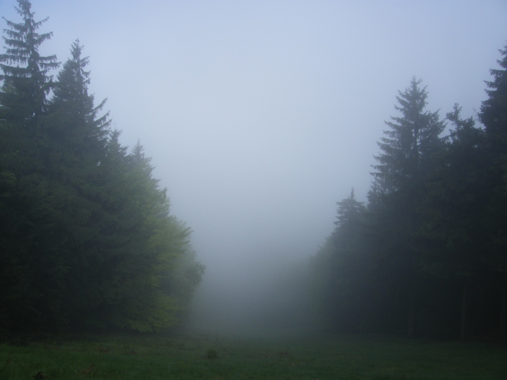 DSCF6593.JPG